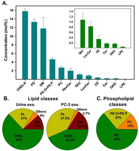 LDH Cytotoxicity Assay